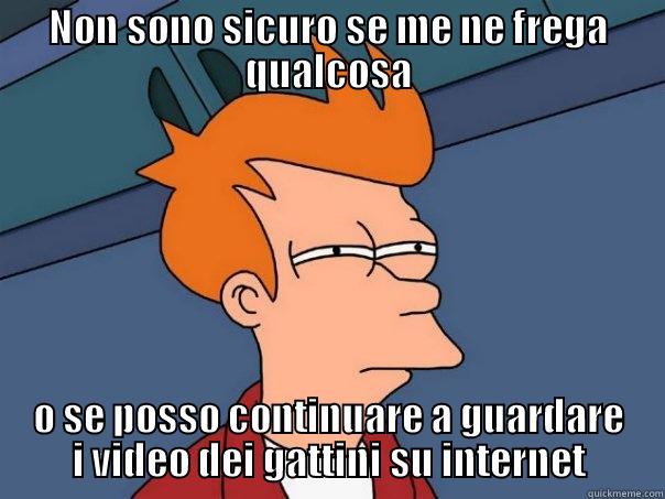 NON SONO SICURO SE ME NE FREGA QUALCOSA O SE POSSO CONTINUARE A GUARDARE I VIDEO DEI GATTINI SU INTERNET Futurama Fry