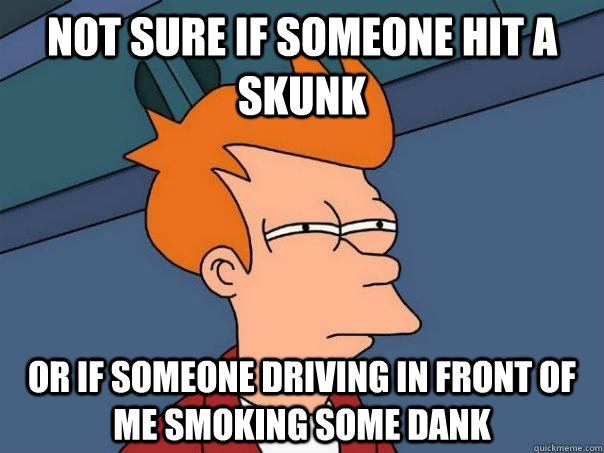 Not sure if someone hit a skunk Or if someone driving in front of me smoking some dank  Futurama Fry