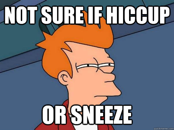 Not sure if hiccup or sneeze  Futurama Fry