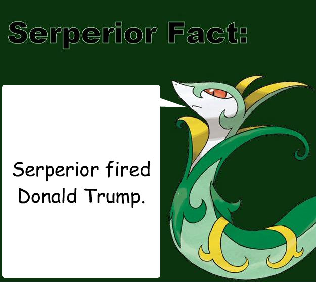 Serperior fired Donald Trump. - Serperior fired Donald Trump.  Serperior Facts