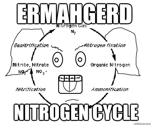 Ermahgerd Nitrogen Cycle - Ermahgerd Nitrogen Cycle  ermahgerd nitrogen