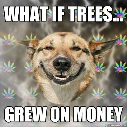 What if trees... grew on money  Stoner Dog