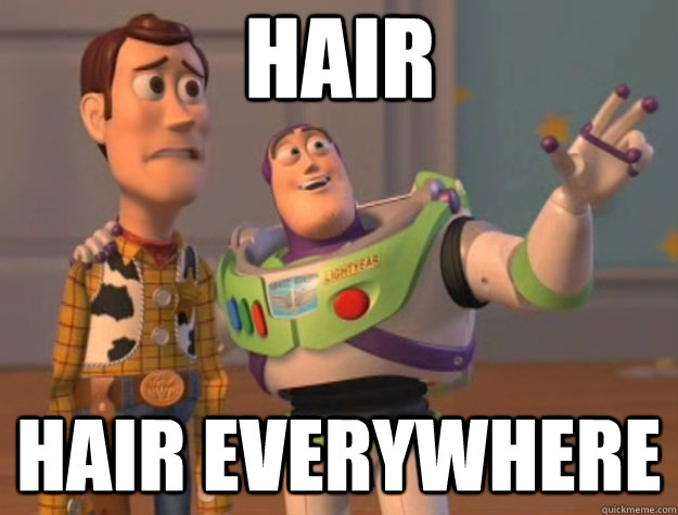 Hair Hair everywhere - Hair Hair everywhere  Toy Story