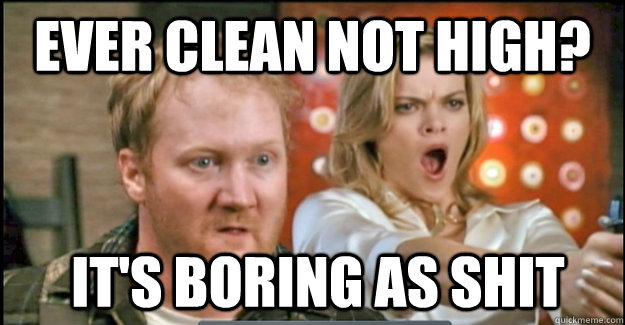 EVER clean NOT HIGH?  it's boring as shit  