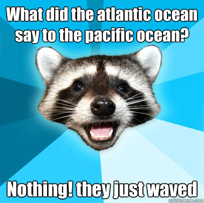 What did the atlantic ocean say to the pacific ocean? Nothing! they just waved  Lame Pun Coon