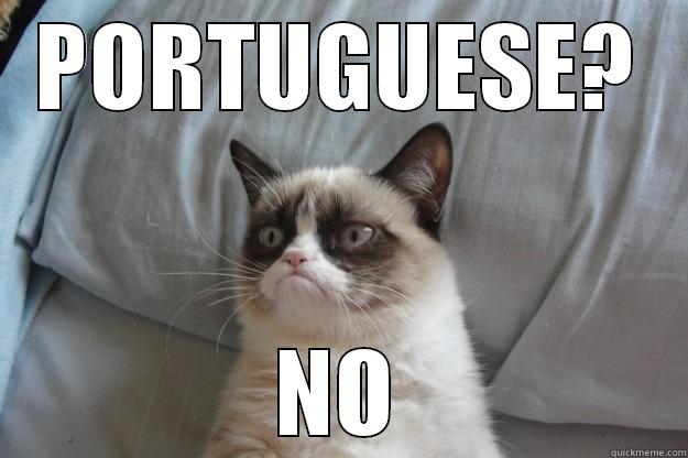 NO NO NO - PORTUGUESE? NO Grumpy Cat