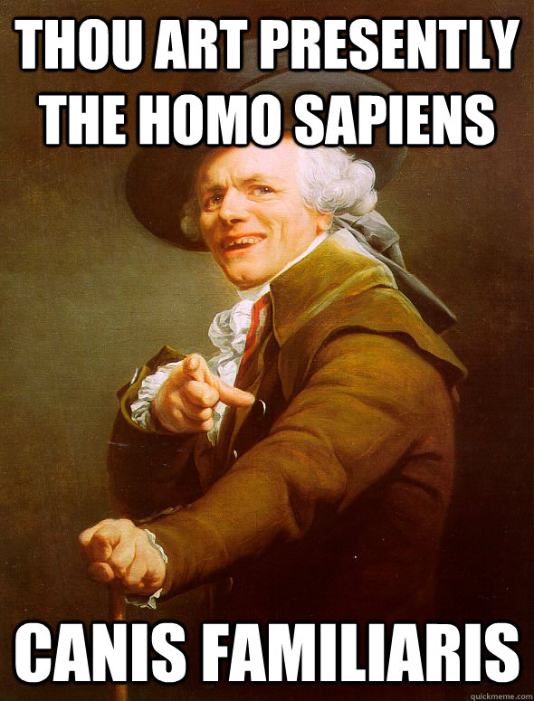 Thou art presently the homo sapiens canis familiaris  Joseph Ducreux