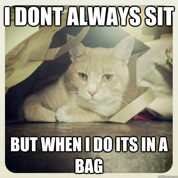 I dont always sit but when I do its in a bag - I dont always sit but when I do its in a bag  Misc