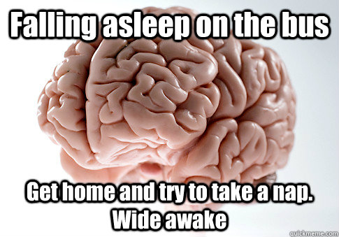 Falling asleep on the bus  Get home and try to take a nap. Wide awake   Scumbag Brain