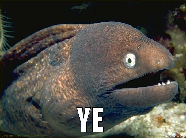  YE Bad Joke Eel