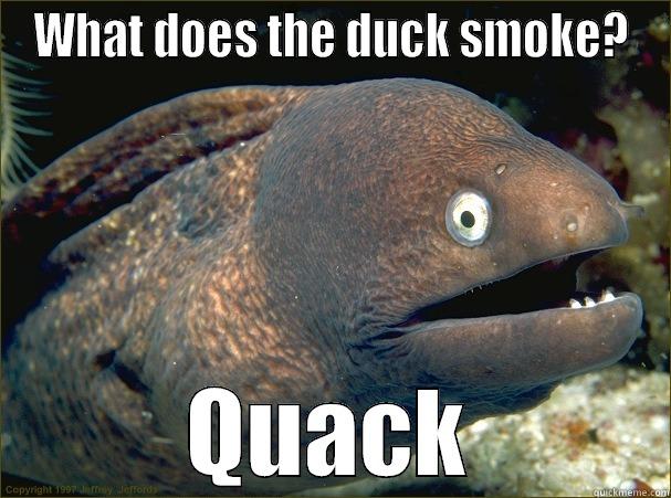 WHAT DOES THE DUCK SMOKE? QUACK Bad Joke Eel