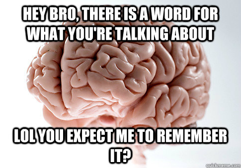 Hey bro, there is a word for what you're talking about lol you expect me to remember it? - Hey bro, there is a word for what you're talking about lol you expect me to remember it?  Scumbag Brain