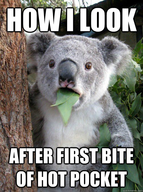 How I Look After first bite of hot pocket - How I Look After first bite of hot pocket  Shocked Koala