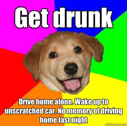 Get drunk Drive home alone. Wake up to unscratched car. No memory of driving home last night  Advice Dog