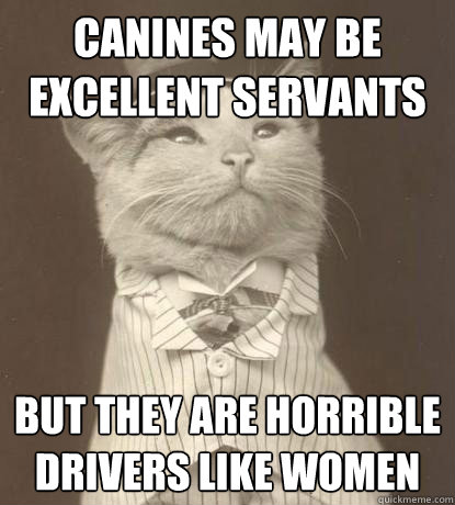 Canines may be excellent servants but they are horrible drivers like women  Aristocat