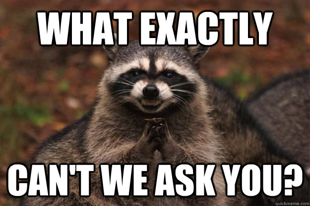 What exactly can't we ask you?  Evil Plotting Raccoon