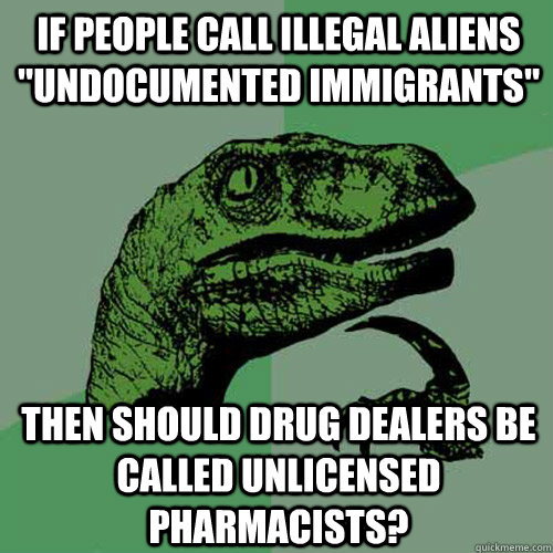 If people call illegal aliens 