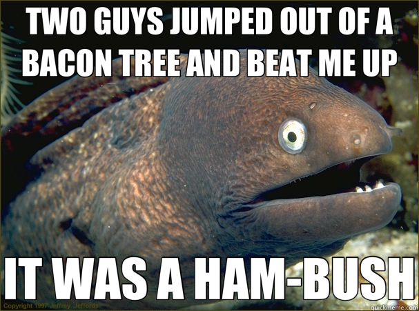 TWO GUYS JUMPED OUT OF A BACON TREE AND BEAT ME UP IT WAS A HAM-BUSH - TWO GUYS JUMPED OUT OF A BACON TREE AND BEAT ME UP IT WAS A HAM-BUSH  Bad Joke Eel