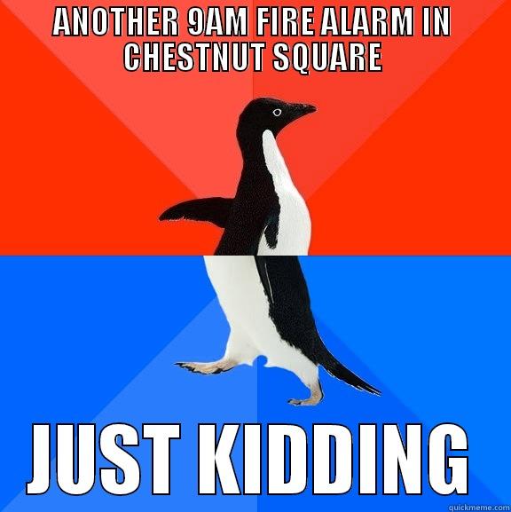 Chestnut Square Meme - ANOTHER 9AM FIRE ALARM IN CHESTNUT SQUARE JUST KIDDING Socially Awesome Awkward Penguin