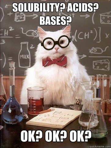 Solubility? Acids? Bases? OK? OK? Ok?  Chemistry Cat