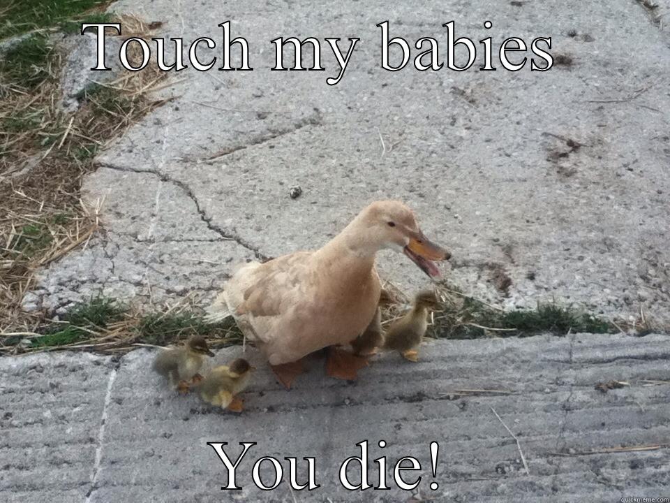 The sour duck - TOUCH MY BABIES  YOU DIE! Misc