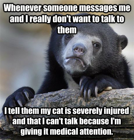 Whenever someone messages me and I really don't want to talk to them I tell them my cat is severely injured and that I can't talk because I'm giving it medical attention.  Confession Bear