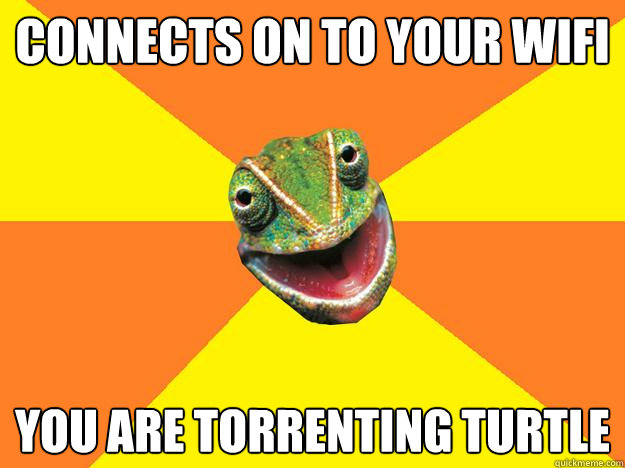 connects on to your wifi You are torrenting turtle  Karma Chameleon