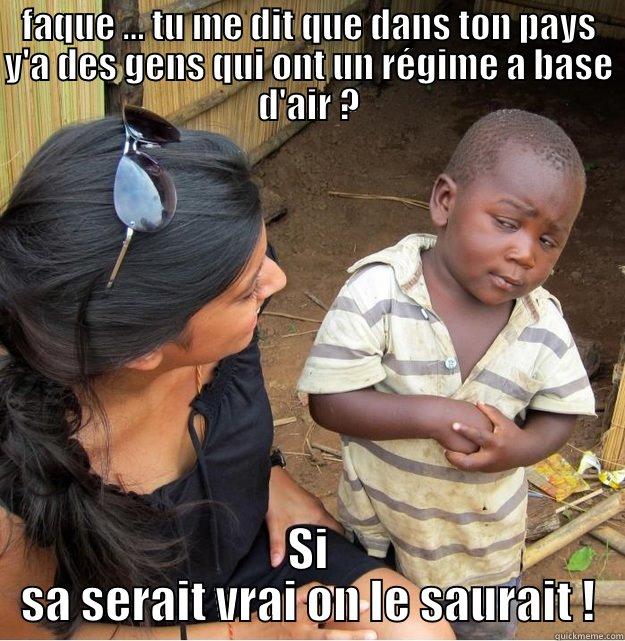 FAQUE ... TU ME DIT QUE DANS TON PAYS Y'A DES GENS QUI ONT UN RÉGIME A BASE D'AIR ? SI SA SERAIT VRAI ON LE SAURAIT ! Skeptical Third World Kid