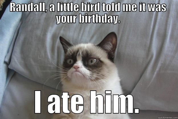 RANDALL, A LITTLE BIRD TOLD ME IT WAS YOUR BIRTHDAY. I ATE HIM. Grumpy Cat