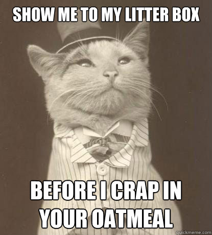 Show me to my litter box before I crap in your oatmeal  Aristocat