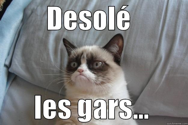 crit pute - DESOLÉ  LES GARS... Grumpy Cat