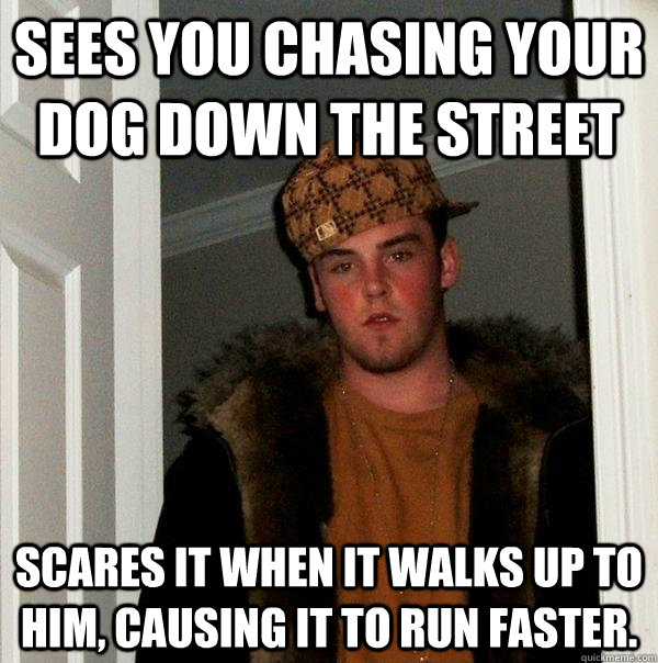 Sees you chasing your dog down the street Scares it when it walks up to him, causing it to run faster.  Scumbag Steve