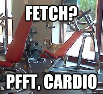 Fetch? Pfft, cardio  