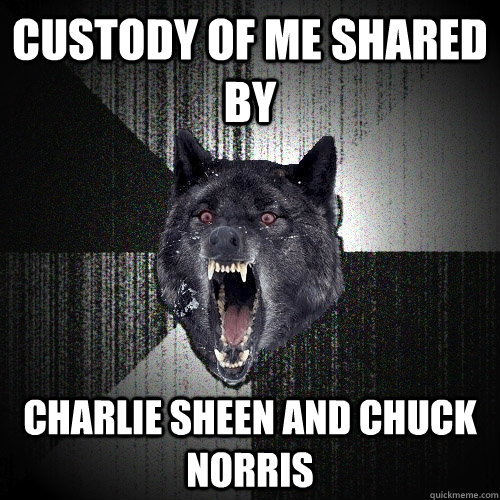 Custody of me shared by charlie sheen and chuck norris  Insanity Wolf