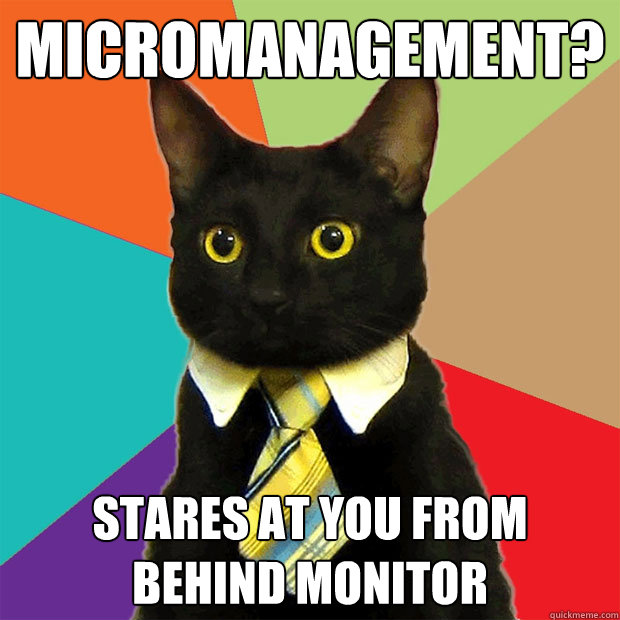 Micromanagement? Stares at you from behind monitor  Business Cat