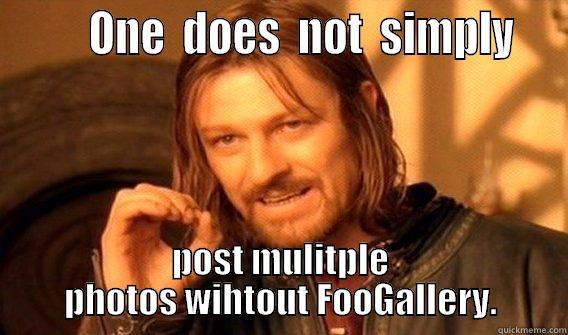        ONE  DOES  NOT  SIMPLY   POST MULITPLE PHOTOS WIHTOUT FOOGALLERY. One Does Not Simply