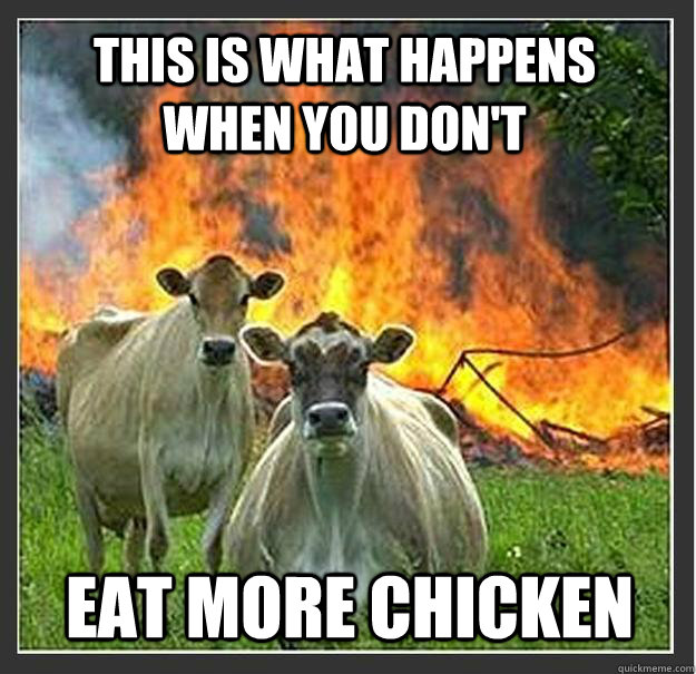 this is what happens when you don't EAT MORE CHICKEN   Evil cows