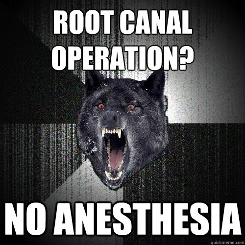 Root canal operation? No anesthesia  Insanity Wolf