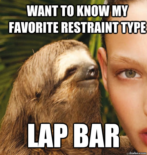 want to know my favorite restraint type lap bar  rape sloth