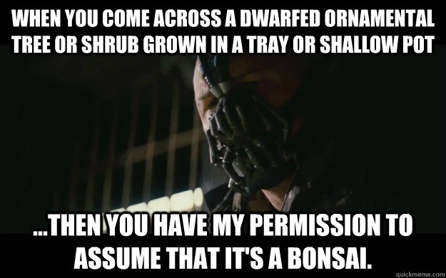 When you come across a dwarfed ornamental tree or shrub grown in a tray or shallow pot ...then you have my permission to assume that it's a bonsai.   Badass Bane