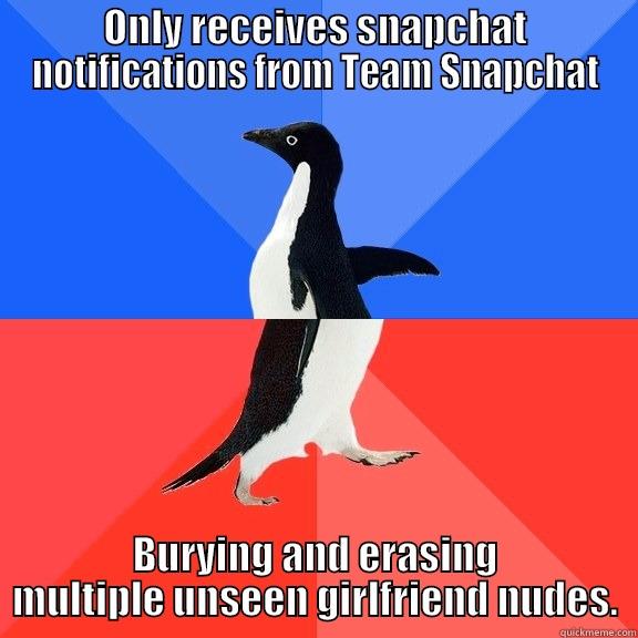 ONLY RECEIVES SNAPCHAT NOTIFICATIONS FROM TEAM SNAPCHAT BURYING AND ERASING MULTIPLE UNSEEN GIRLFRIEND NUDES. Socially Awkward Awesome Penguin