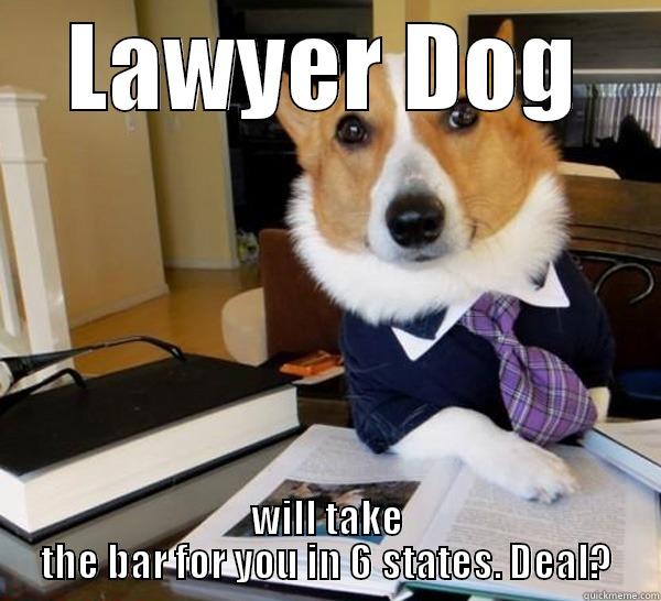 LAWYER DOG WILL TAKE THE BAR FOR YOU IN 6 STATES. DEAL? Lawyer Dog