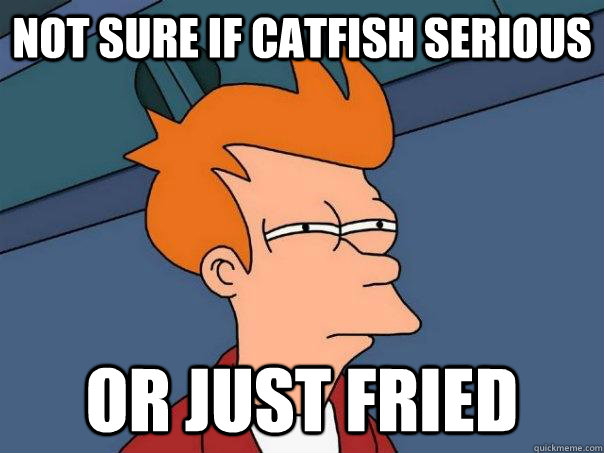 NOT SURE IF CATFISH SERIOUS OR JUST FRIED  Futurama Fry