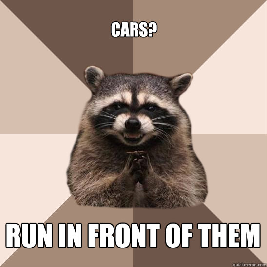 cars? run in front of them - cars? run in front of them  Evil Plotting Raccoon