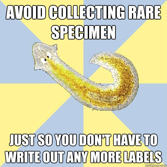 Avoid collecting rare specimen  just so you don't have to write out any more labels  Bio Major Planarian