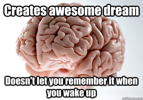 Creates awesome dream Doesn't let you remember it when you wake up  - Creates awesome dream Doesn't let you remember it when you wake up   Scumbag Brain