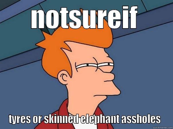 NOTSUREIF TYRES OR SKINNED ELEPHANT ASSHOLES  Futurama Fry