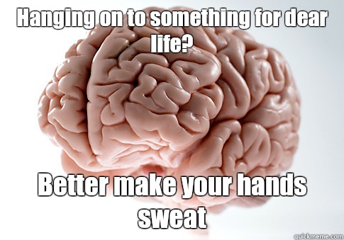 Hanging on to something for dear life? Better make your hands sweat  Scumbag Brain