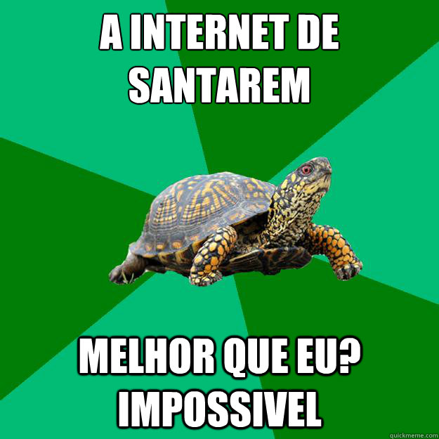 a internet de
santar´em melhor que eu? impossivel  Torrenting Turtle