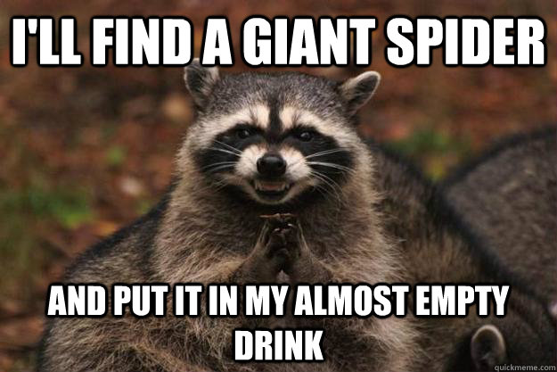 I'll find a giant spider and put it in my almost empty drink  Evil Plotting Raccoon